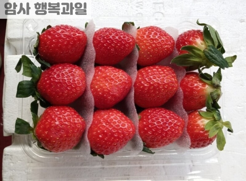 빈손장보기,새콤달콤 설향 딸기 (대 1팩)