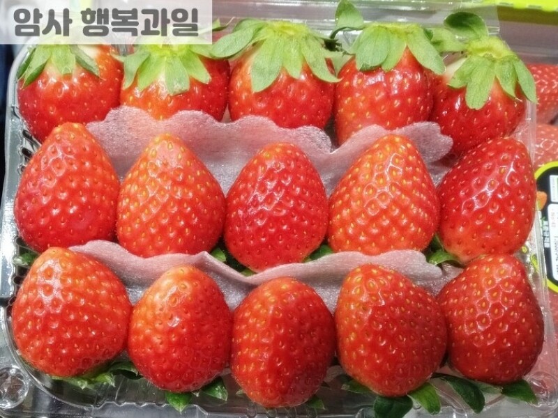 빈손장보기,상큼달콤한 설향 딸기 (소 1팩)