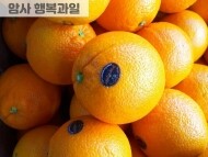 블랙라벨 카슈 고당도 오렌지 (6개)