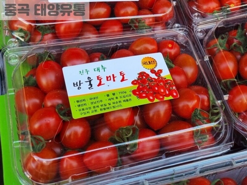 빈손장보기,대추방울 토마토(1팩)