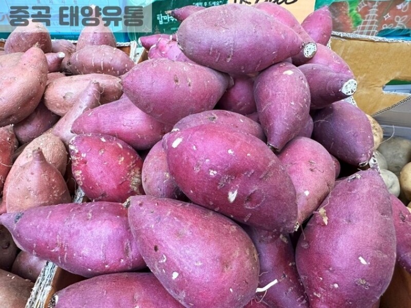 빈손장보기,해남 밤고구마(1kg)