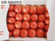 완숙토마토(5kg) 한 박스