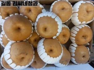 신고배