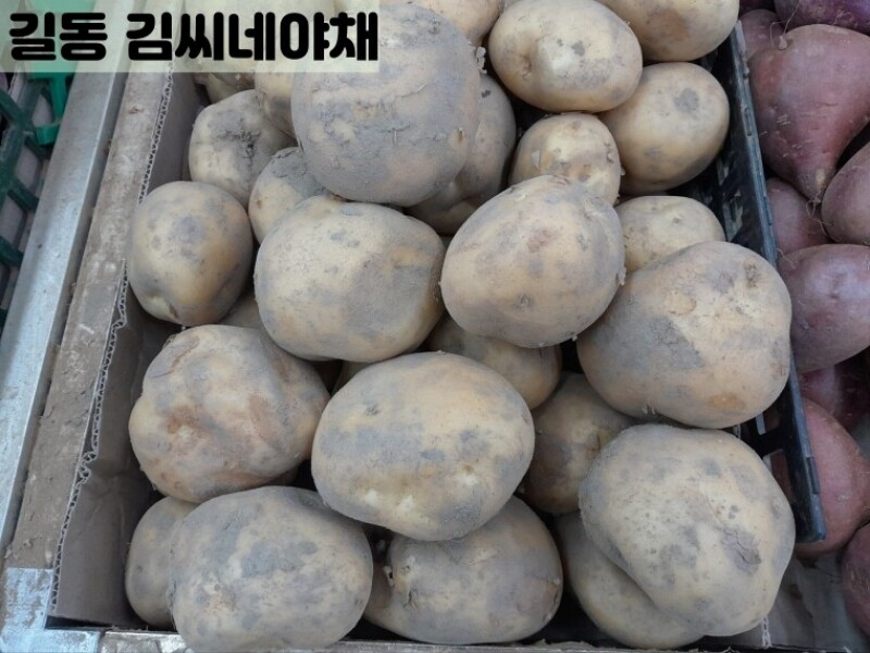 빈손장보기,햇감자 왕특(100g/최소 500g이상 구매)