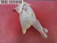 하림닭(백세미, 1kg)