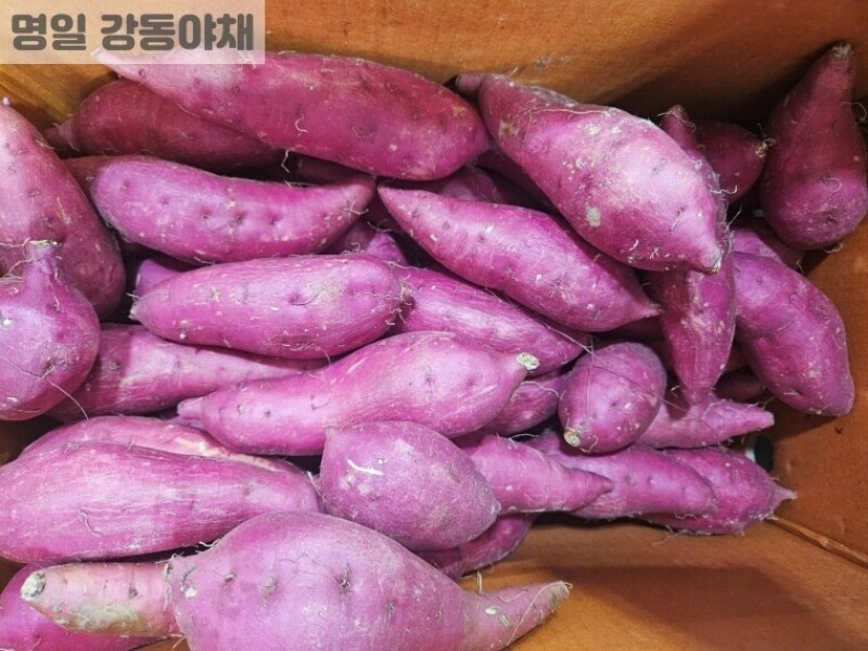 빈손장보기,호박고구마(1kg)