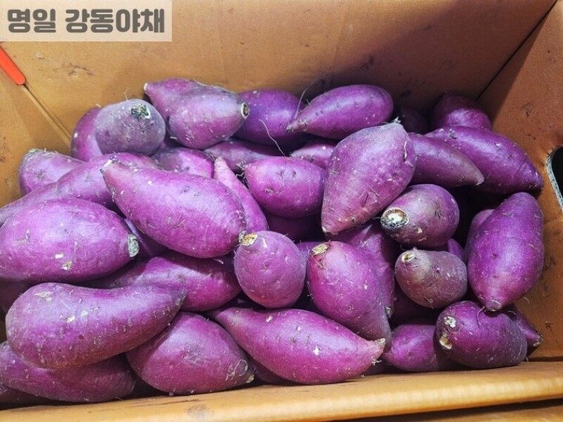 빈손장보기,밤고구마(1kg)