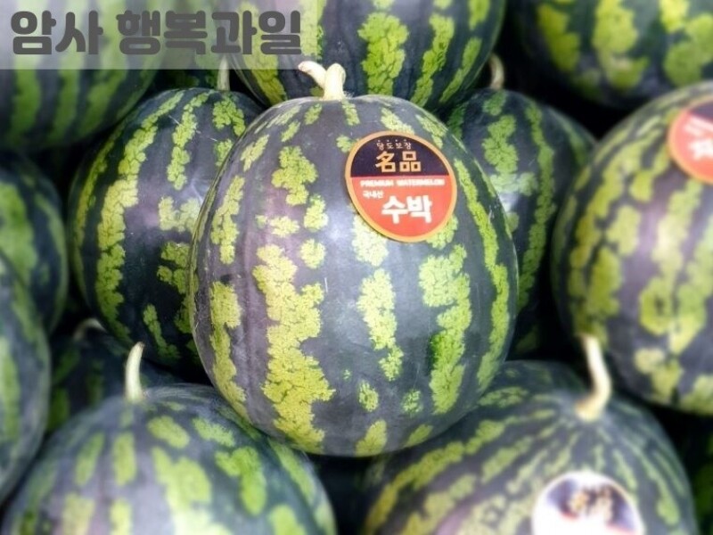 빈손장보기,맛있는 수박 (5kg내외)