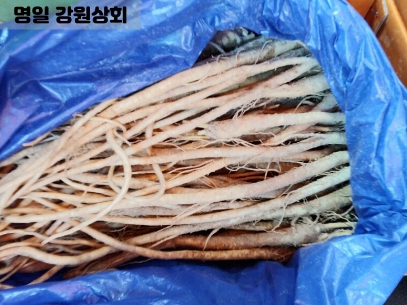 빈손장보기,도라지(400g)